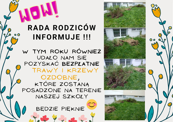 Plakat dotyczący bezpłatnych nasadzeń drzew i krzewów